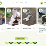 HuskyCamp2